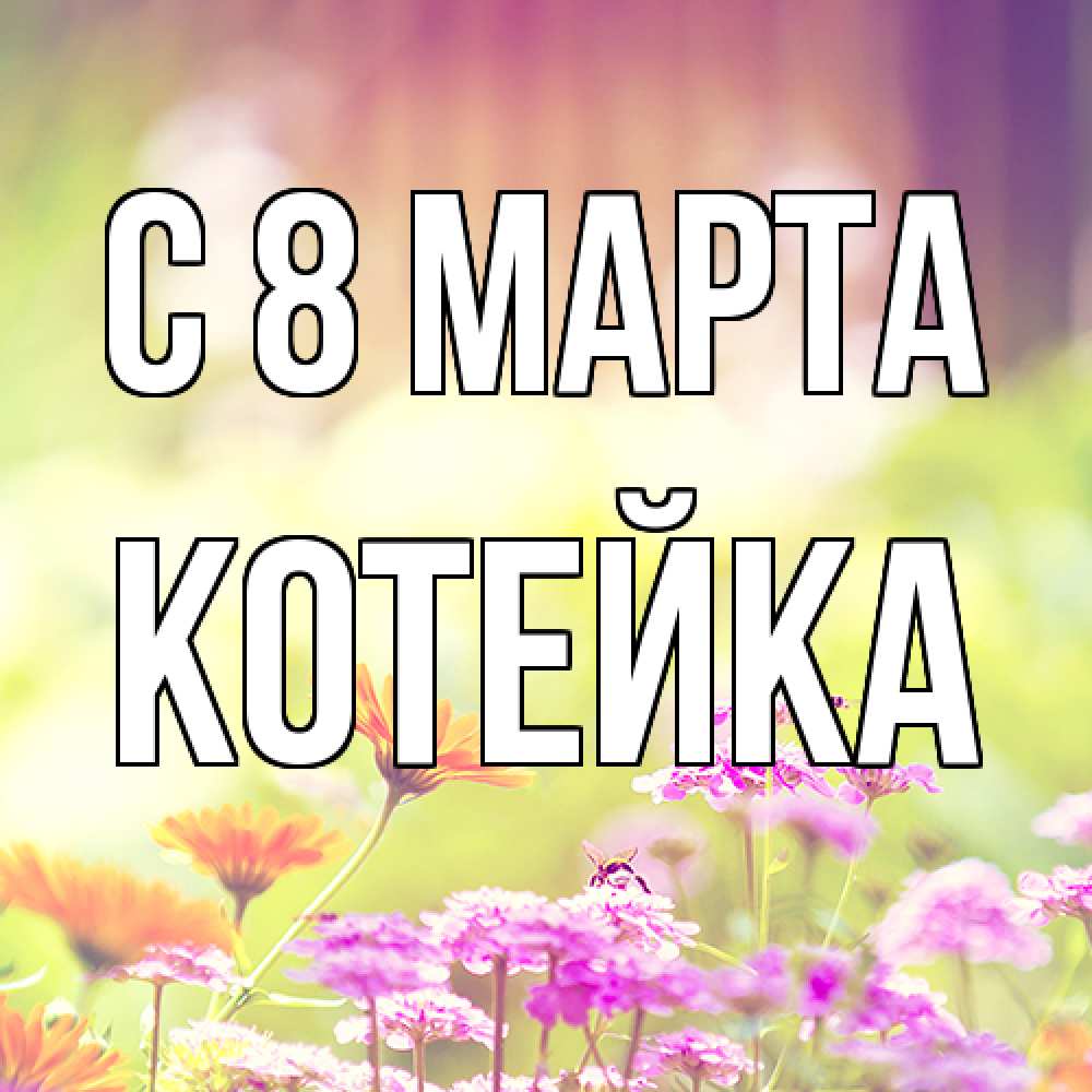 Открытка на каждый день с именем, Котейка C 8 МАРТА цветы весна Прикольная открытка с пожеланием онлайн скачать бесплатно 