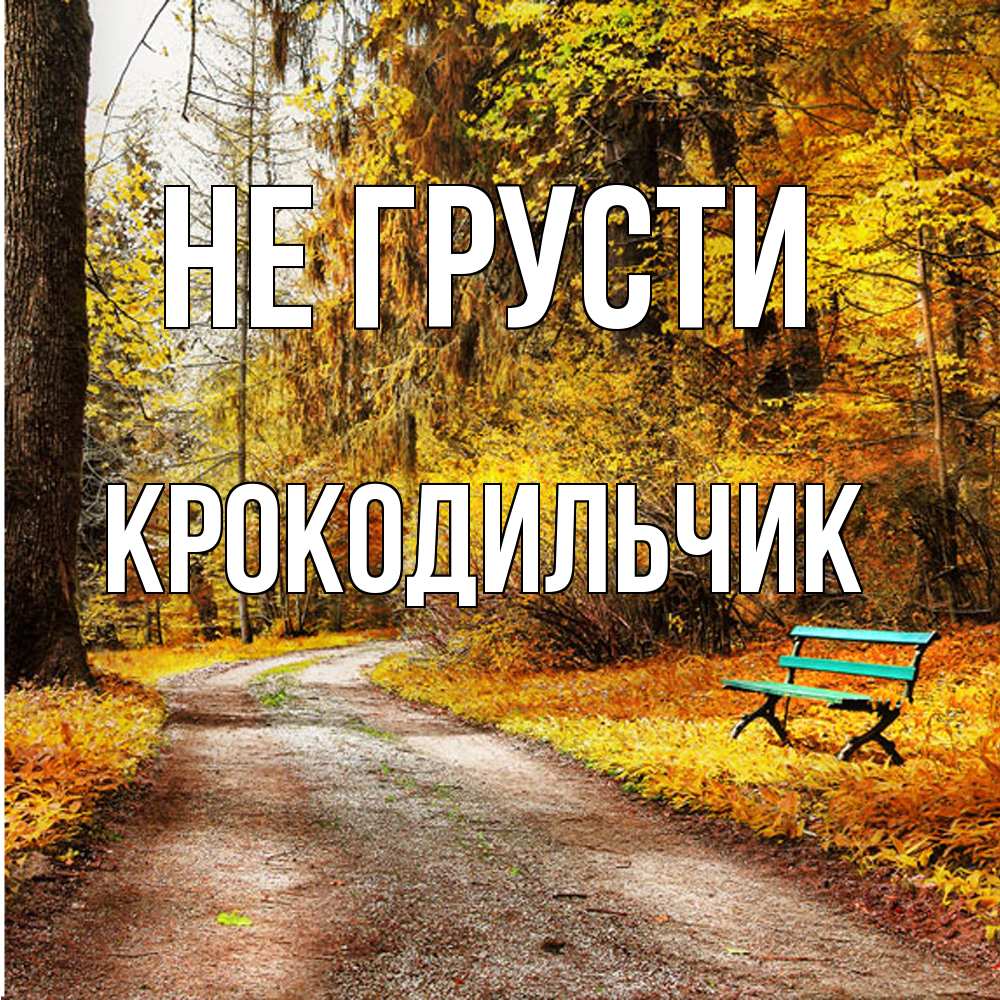 Открытка на каждый день с именем, Крокодильчик Не грусти зеленая лавочка Прикольная открытка с пожеланием онлайн скачать бесплатно 