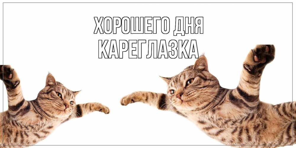 Открытка на каждый день с именем, кареглазка Хорошего дня хорошего дня Прикольная открытка с пожеланием онлайн скачать бесплатно 