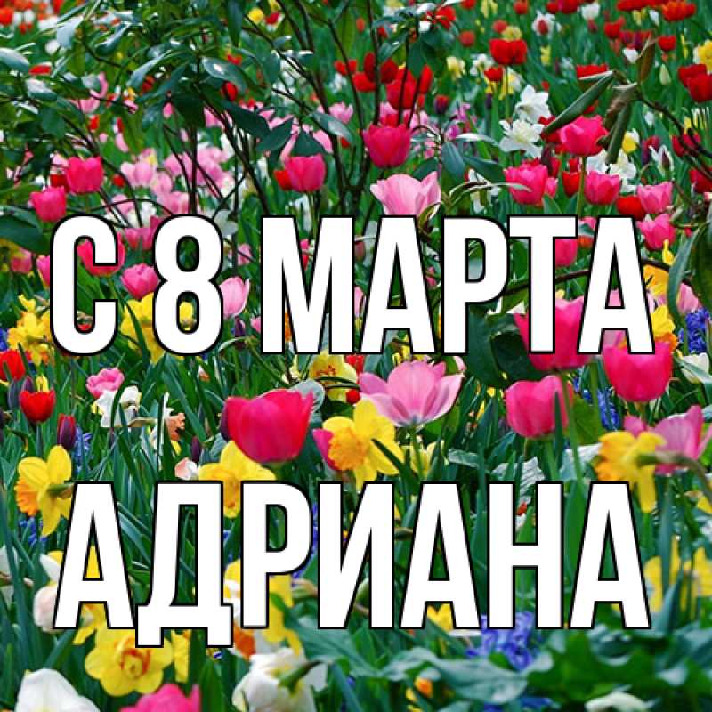 Картинка C 8 МАРТА, Адриана