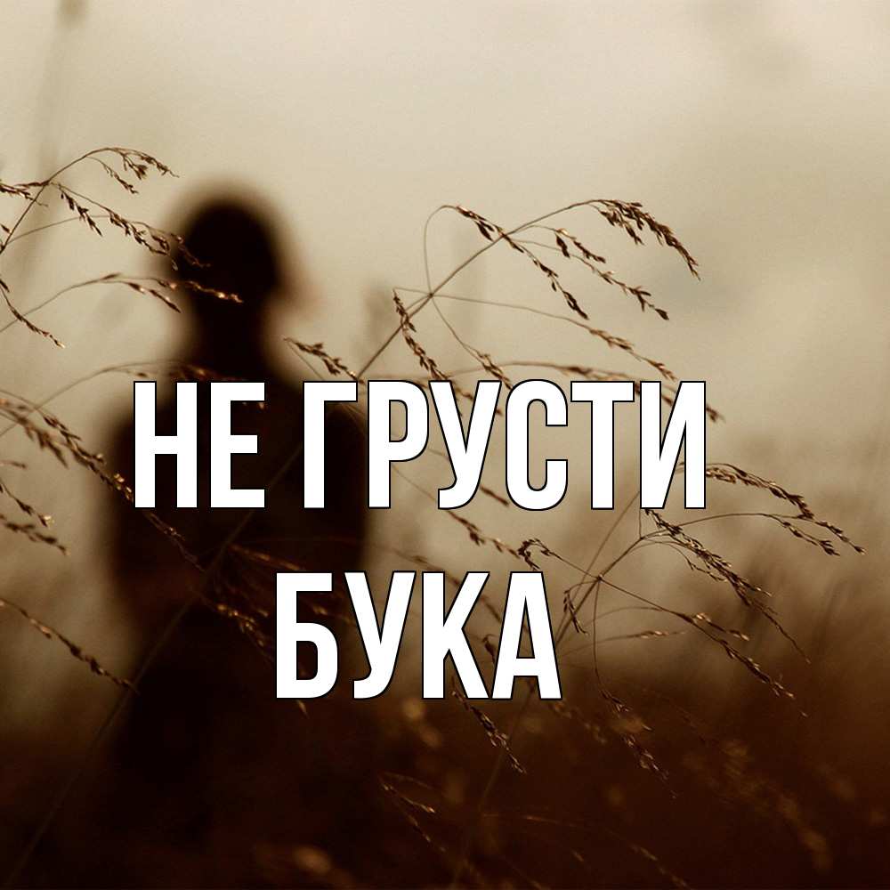 Открытка на каждый день с именем, Бука Не грусти грусть Прикольная открытка с пожеланием онлайн скачать бесплатно 
