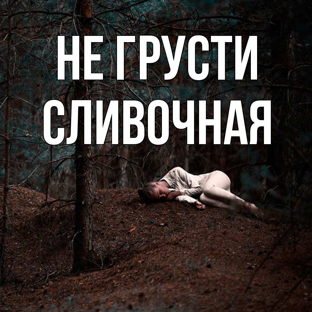 Открытка на каждый день с именем, Сливочная Не грусти лес Прикольная открытка с пожеланием онлайн скачать бесплатно 