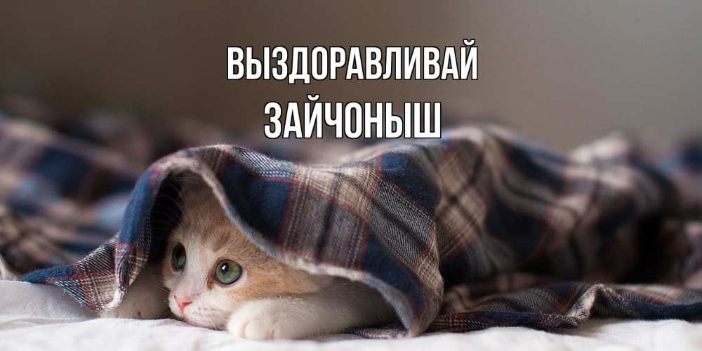Открытка на каждый день с именем, зайчоныш Выздоравливай не болейте с котиком Прикольная открытка с пожеланием онлайн скачать бесплатно 