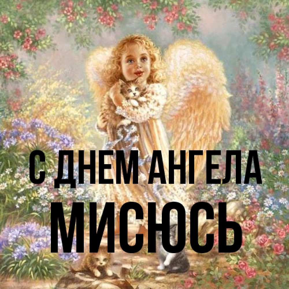 Открытка на каждый день с именем, мисюсь С днем ангела держит котенка Прикольная открытка с пожеланием онлайн скачать бесплатно 