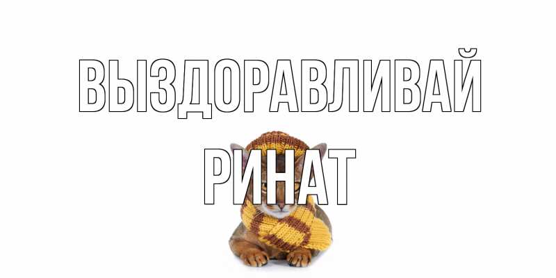 Открытка с именем, Ринат, Выздоравливай