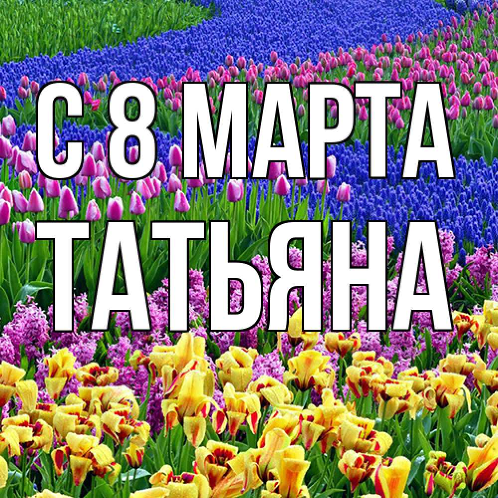 Открытка на каждый день с именем, Татьяна C 8 МАРТА цветы Прикольная открытка с пожеланием онлайн скачать бесплатно 