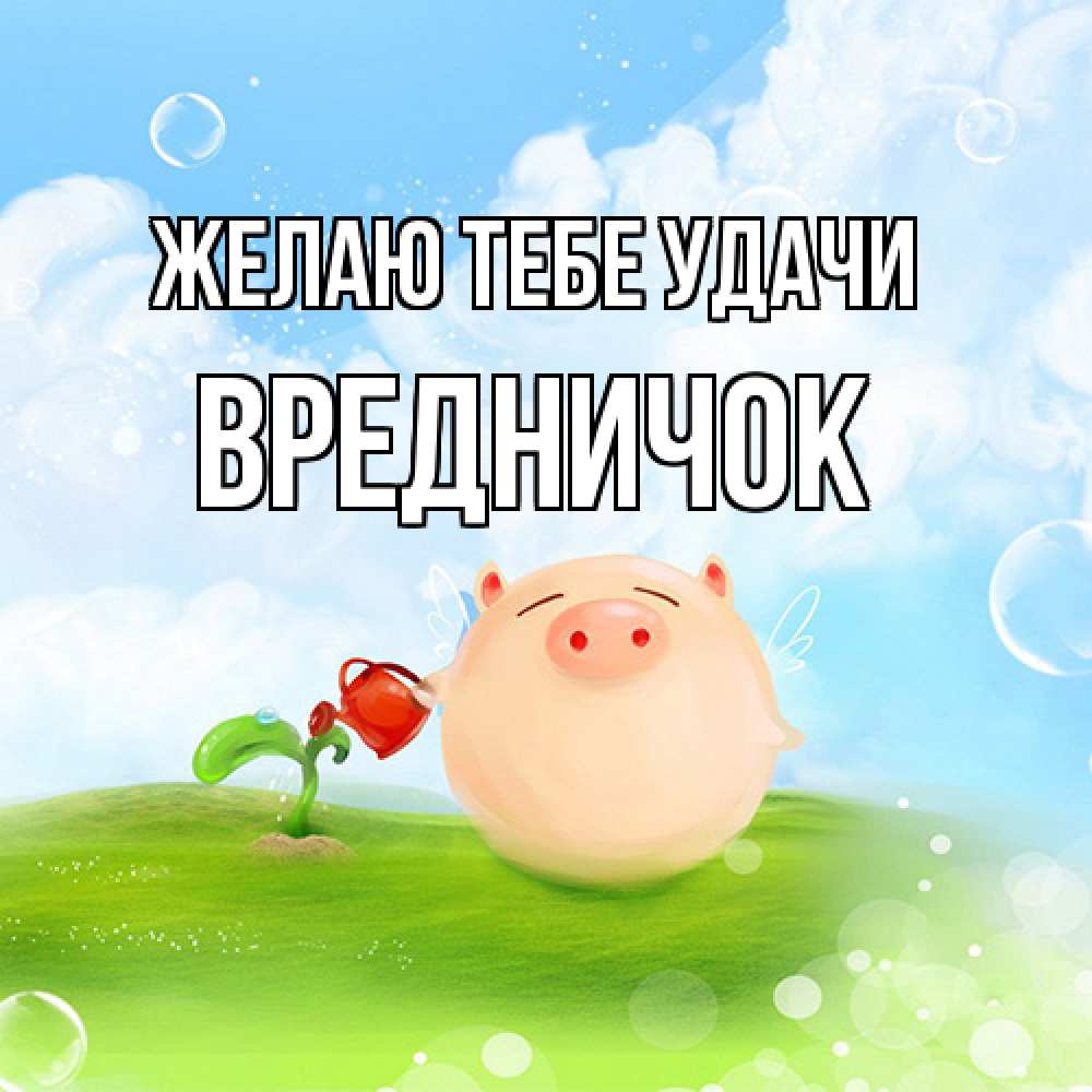 Открытка на каждый день с именем, Вредничок Желаю тебе удачи поросенок поливает цветок. летнее настроение Прикольная открытка с пожеланием онлайн скачать бесплатно 