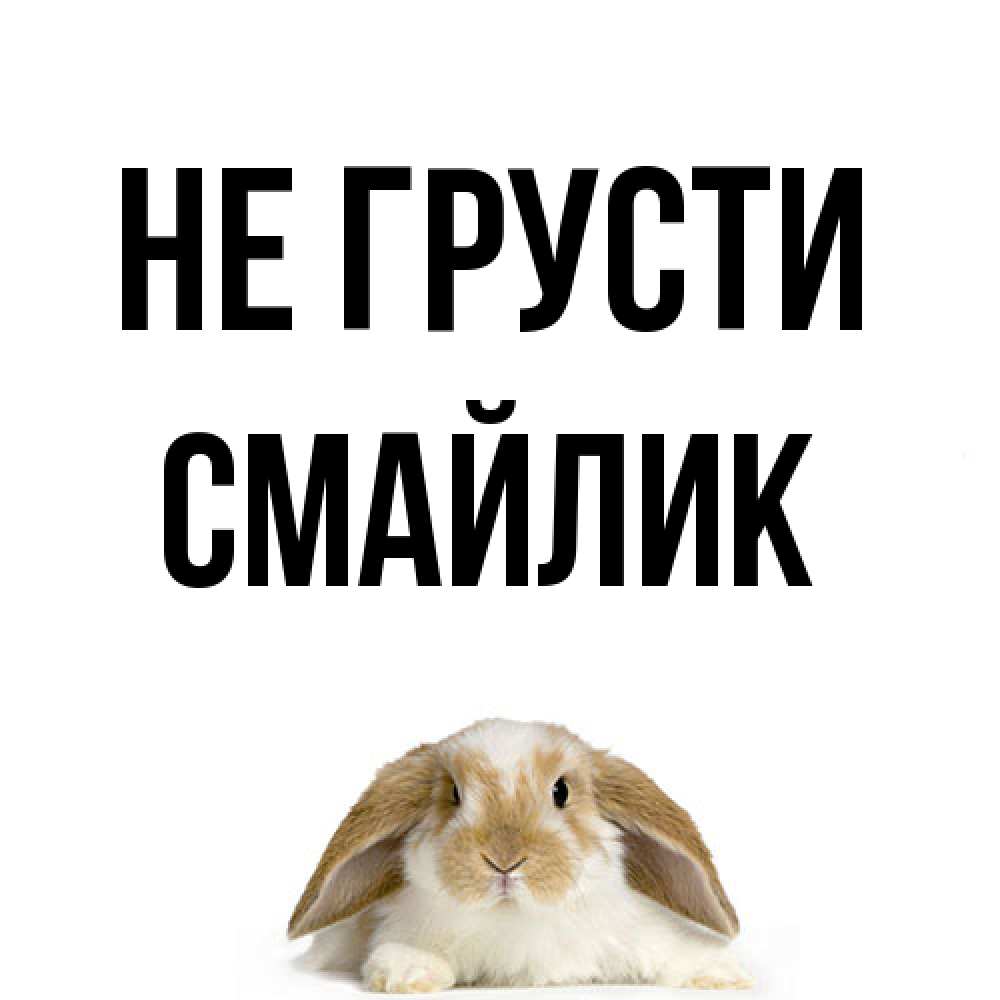 Открытка на каждый день с именем, Смайлик Не грусти коричнево белый заяц с большими ушками Прикольная открытка с пожеланием онлайн скачать бесплатно 