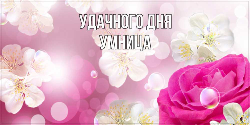 Открытка на каждый день с именем, Умница Удачного дня красивые цветы Прикольная открытка с пожеланием онлайн скачать бесплатно 