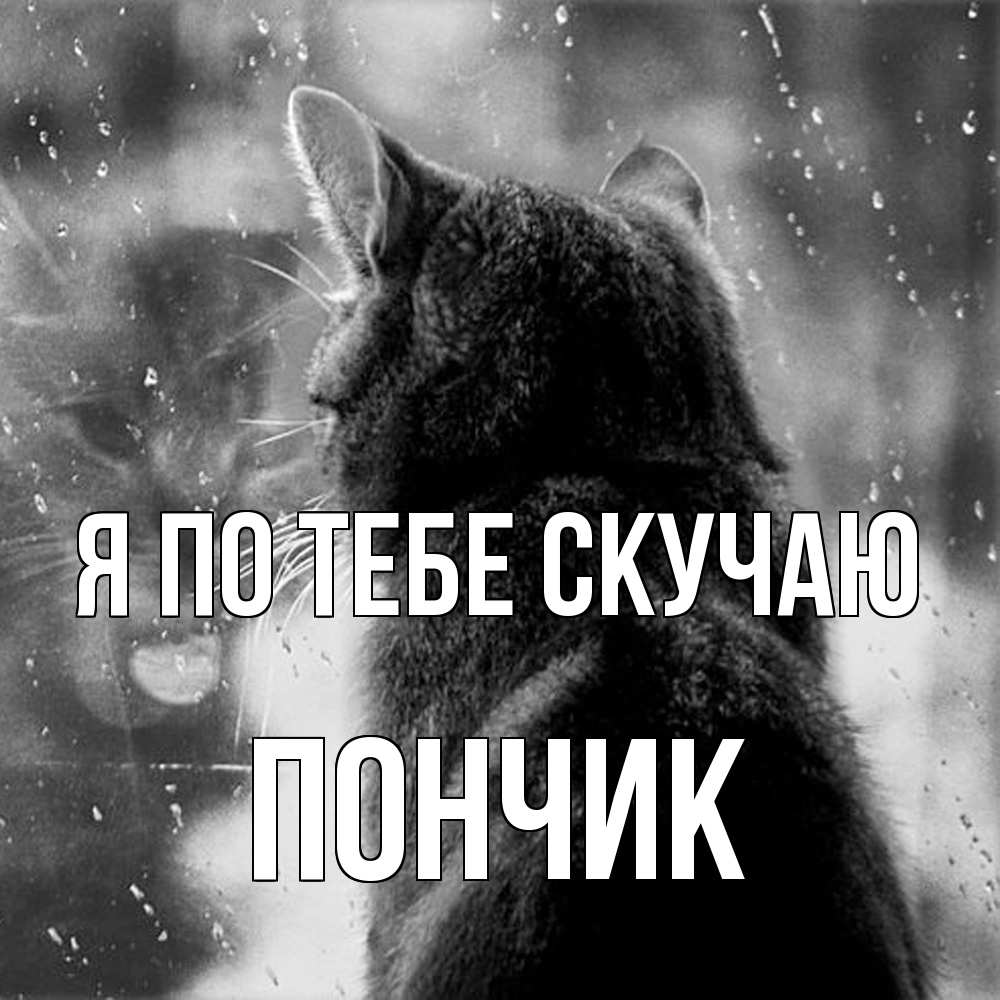 Открытка на каждый день с именем, Пончик Я по тебе скучаю скорее ко мне приходи 1 Прикольная открытка с пожеланием онлайн скачать бесплатно 