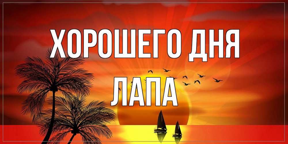 Открытка на каждый день с именем, Лапа Хорошего дня открытки с пожеланиями хорошего дня Прикольная открытка с пожеланием онлайн скачать бесплатно 