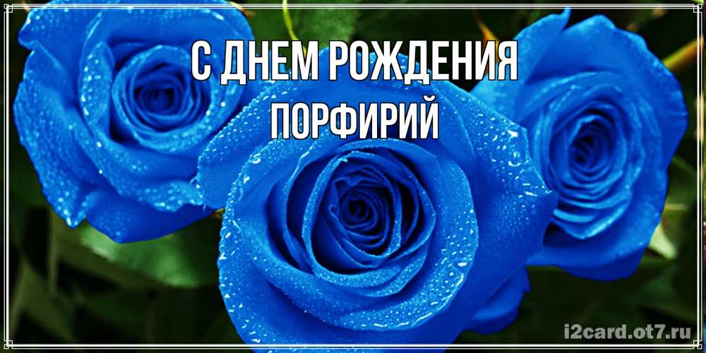 Открытка на каждый день с именем, Порфирий С днем рождения розы с синим цветом Прикольная открытка с пожеланием онлайн скачать бесплатно 