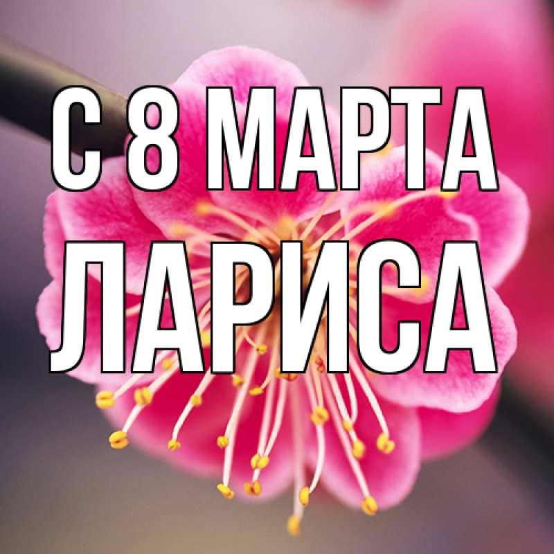 Картинка C 8 МАРТА, Лариса