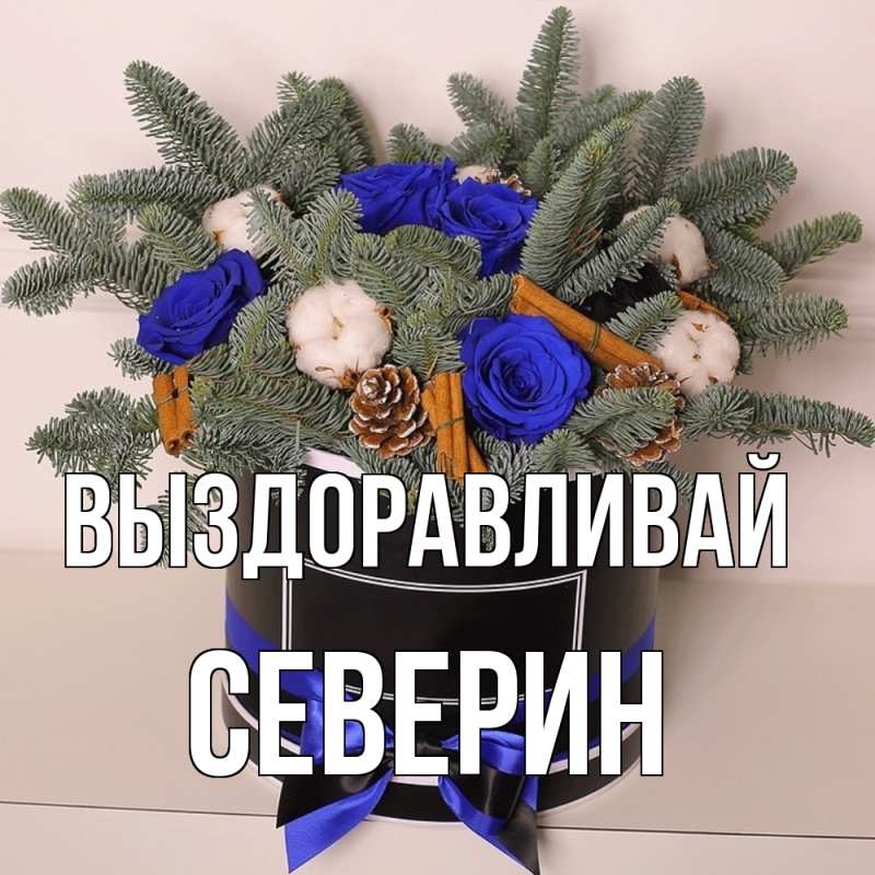 Картинка Выздоравливай, Северин