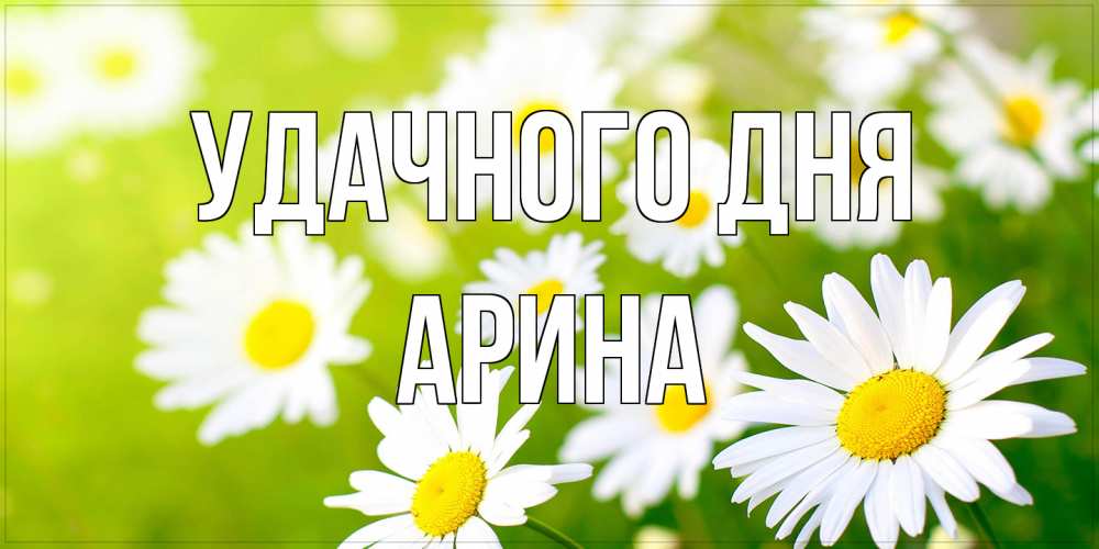 Открытка на каждый день с именем, Арина Удачного дня открытка с ромашками на зеленом фоне Прикольная открытка с пожеланием онлайн скачать бесплатно 
