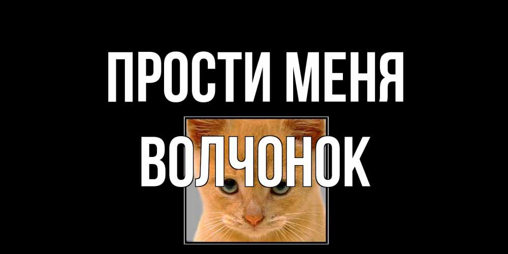 Открытка на каждый день с именем, Волчонок Прости меня рыжий грустный кот просит прощения Прикольная открытка с пожеланием онлайн скачать бесплатно 