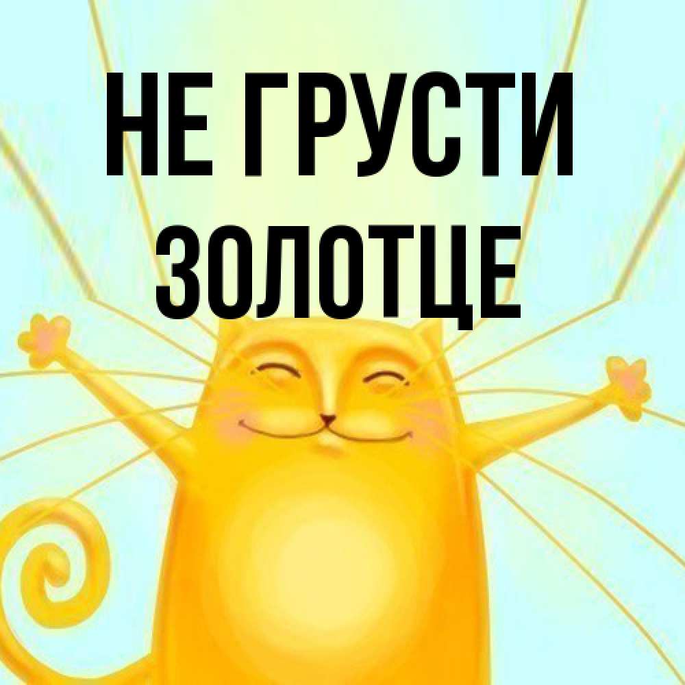 Открытка на каждый день с именем, Золотце Не грусти обнимашки усатые Прикольная открытка с пожеланием онлайн скачать бесплатно 