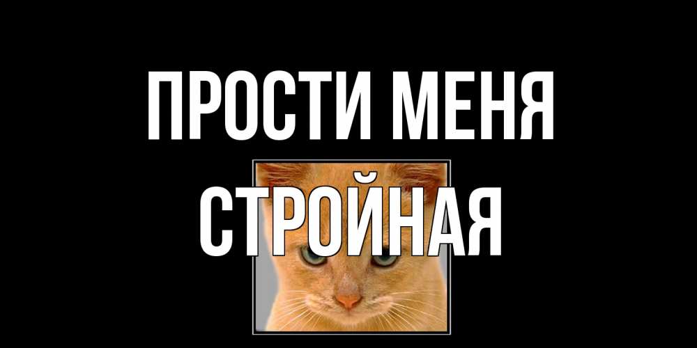 Открытка на каждый день с именем, Стройная Прости меня рыжий грустный кот просит прощения Прикольная открытка с пожеланием онлайн скачать бесплатно 