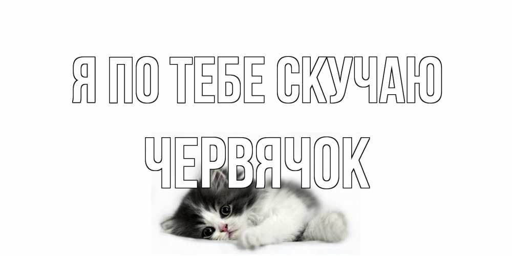 Открытка на каждый день с именем, Червячок Я по тебе скучаю кот, скука Прикольная открытка с пожеланием онлайн скачать бесплатно 