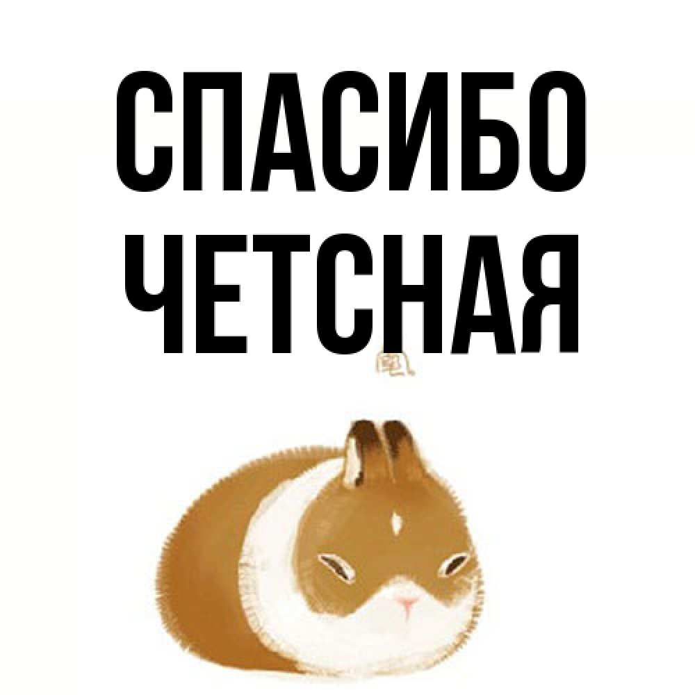 Открытка на каждый день с именем, Четсная Спасибо коричнево белый домашний питомец Прикольная открытка с пожеланием онлайн скачать бесплатно 