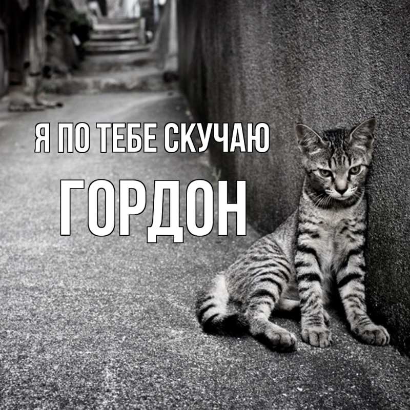 Картинка Я по тебе скучаю, Гордон