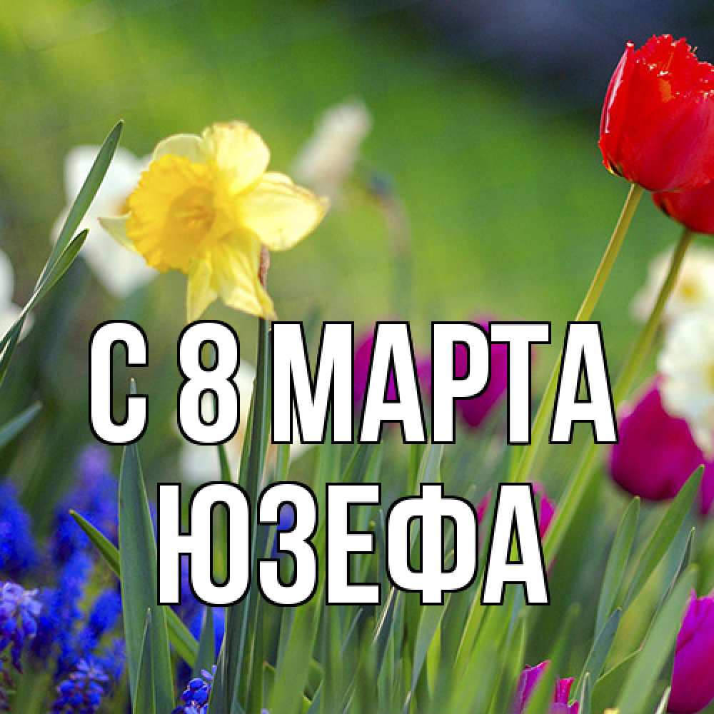 Открытка на каждый день с именем, Юзефа C 8 МАРТА международный женский день 3 Прикольная открытка с пожеланием онлайн скачать бесплатно 
