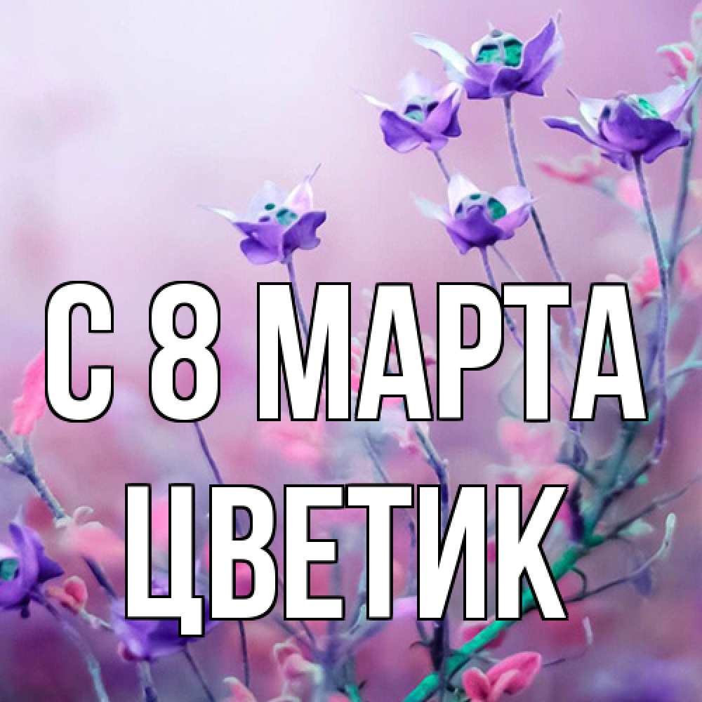 Открытка на каждый день с именем, цветик C 8 МАРТА международный женский день 2 Прикольная открытка с пожеланием онлайн скачать бесплатно 