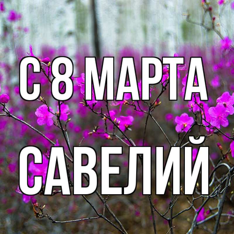 Картинка C 8 МАРТА, Савелий