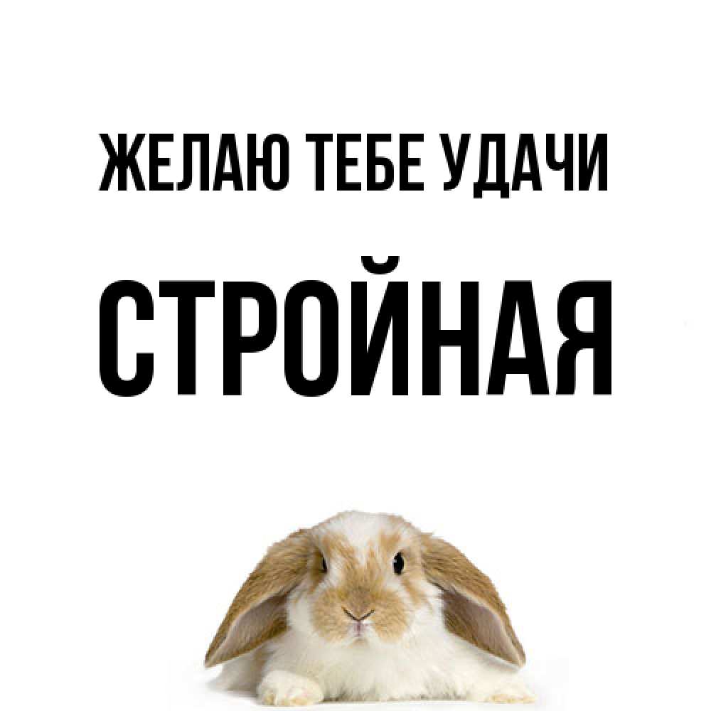 Открытка на каждый день с именем, Стpойная Желаю тебе удачи открытки с произвольным текстом который можно вставить в открытку и создать ее самостоятельно бесплатно онлайн Прикольная открытка с пожеланием онлайн скачать бесплатно 