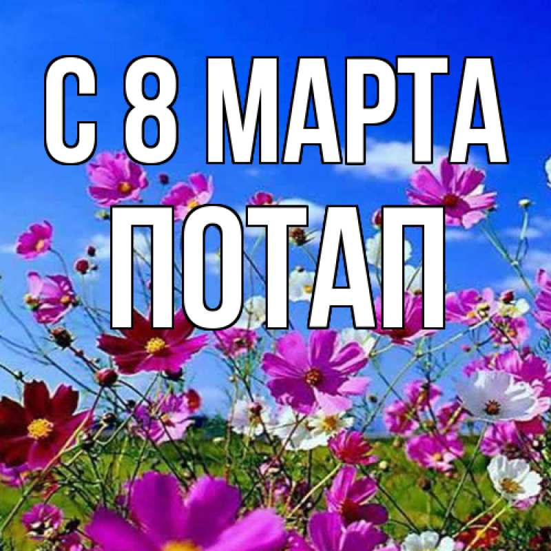 Картинка C 8 МАРТА, Потап