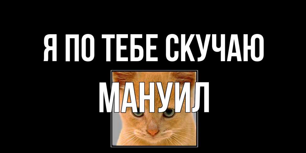 Открытка на каждый день с именем, Мануил Я по тебе скучаю открытки рыжий котенок скучает по тебе Прикольная открытка с пожеланием онлайн скачать бесплатно 