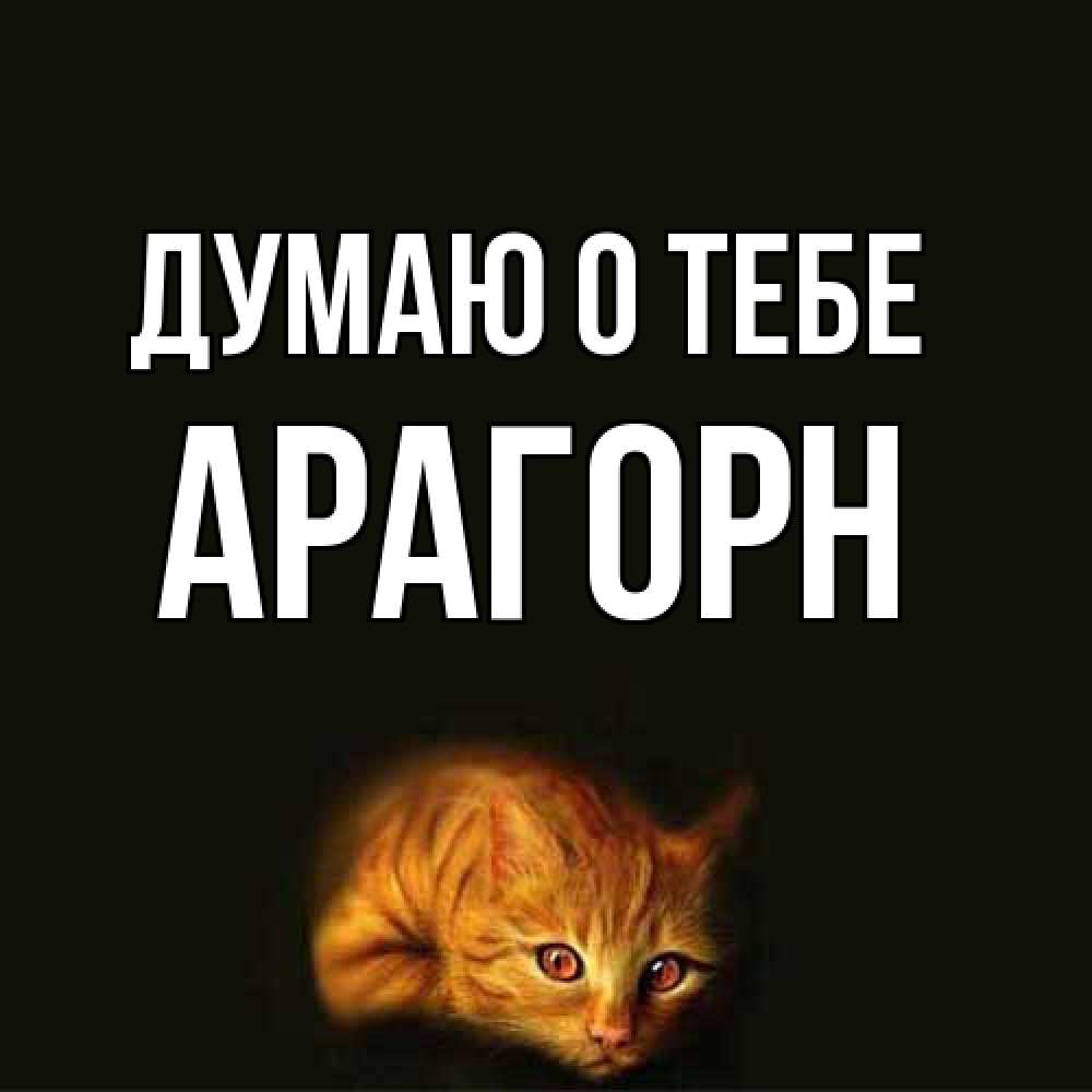 Открытка на каждый день с именем, Арагорн Думаю о тебе рыжий Прикольная открытка с пожеланием онлайн скачать бесплатно 