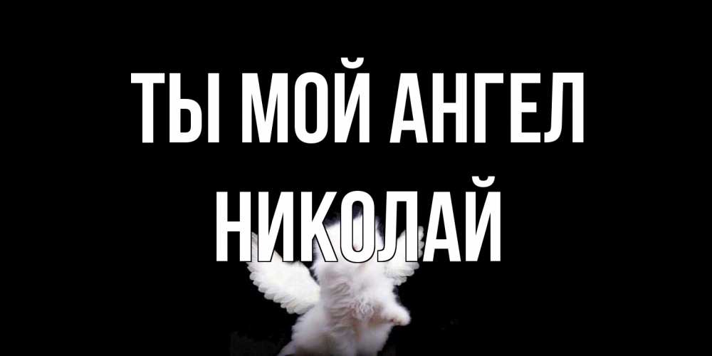 Открытка на каждый день с именем, Николай Ты мой ангел Кот ангел Прикольная открытка с пожеланием онлайн скачать бесплатно 