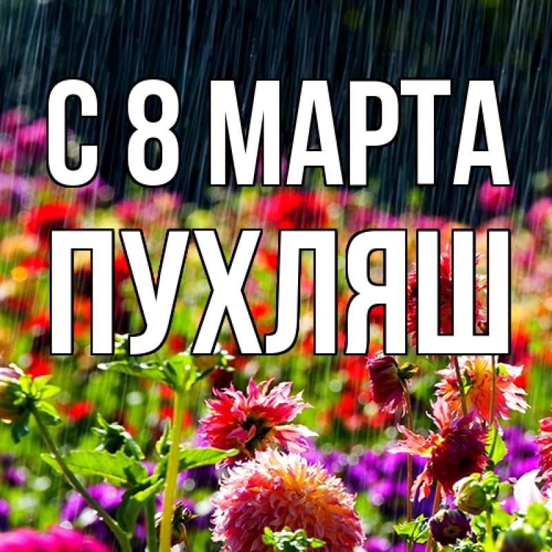 Картинка C 8 МАРТА, пухляш