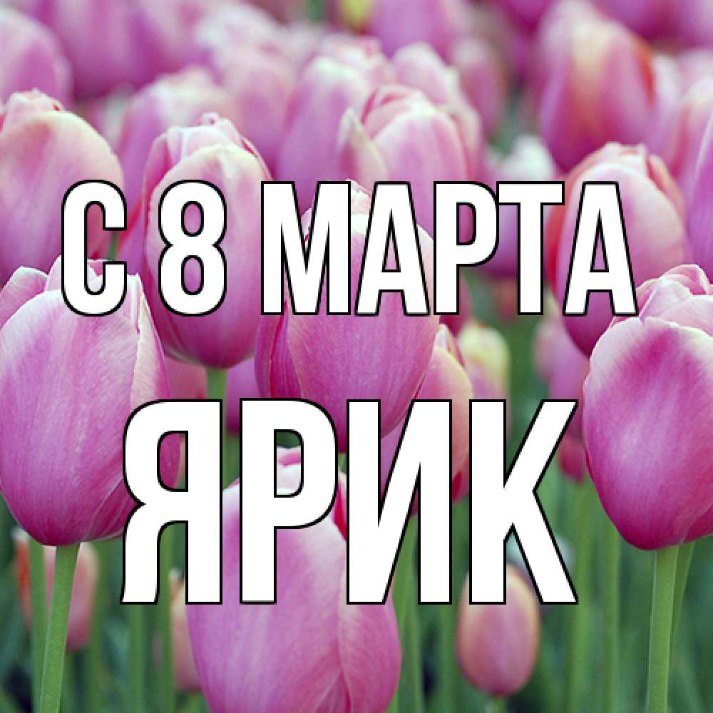 Открытка на каждый день с именем, Ярик C 8 МАРТА на международный женский день 3 Прикольная открытка с пожеланием онлайн скачать бесплатно 