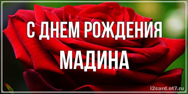 Картинка С днем рождения, Мадина