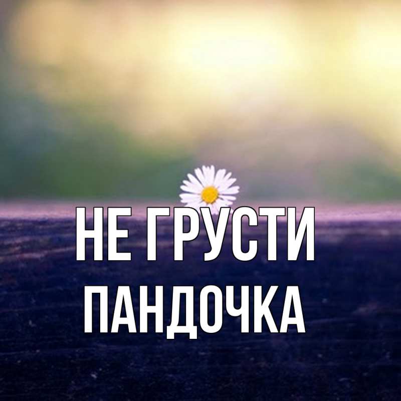 Картинка Не грусти, пандочка