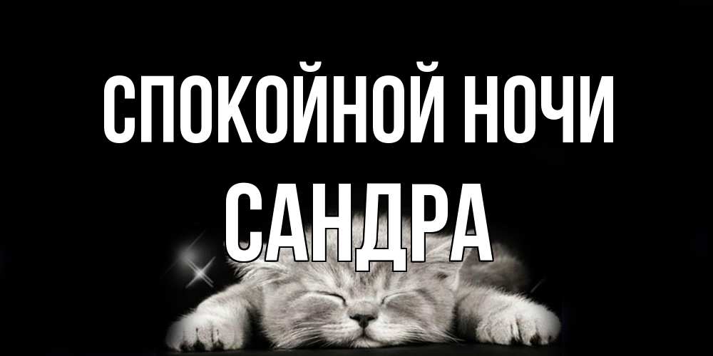 Открытка на каждый день с именем, Сандра Спокойной ночи спящий котик Прикольная открытка с пожеланием онлайн скачать бесплатно 