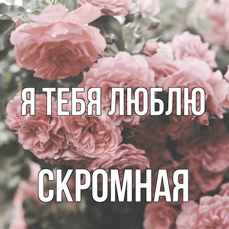 Картинка Я тебя люблю, скромная