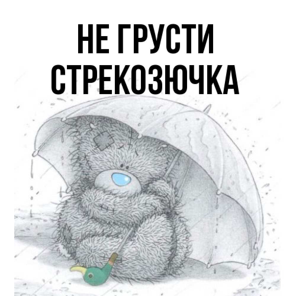 Открытка на каждый день с именем, Стрекозючка Не грусти спасите мишку Тедди Прикольная открытка с пожеланием онлайн скачать бесплатно 