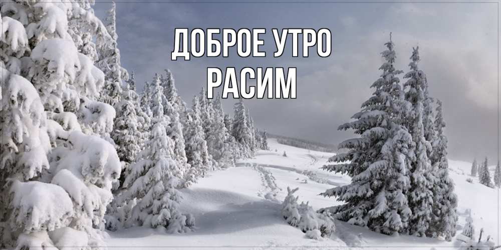 Открытка на каждый день с именем, Расим Доброе утро пасмурное утро Прикольная открытка с пожеланием онлайн скачать бесплатно 
