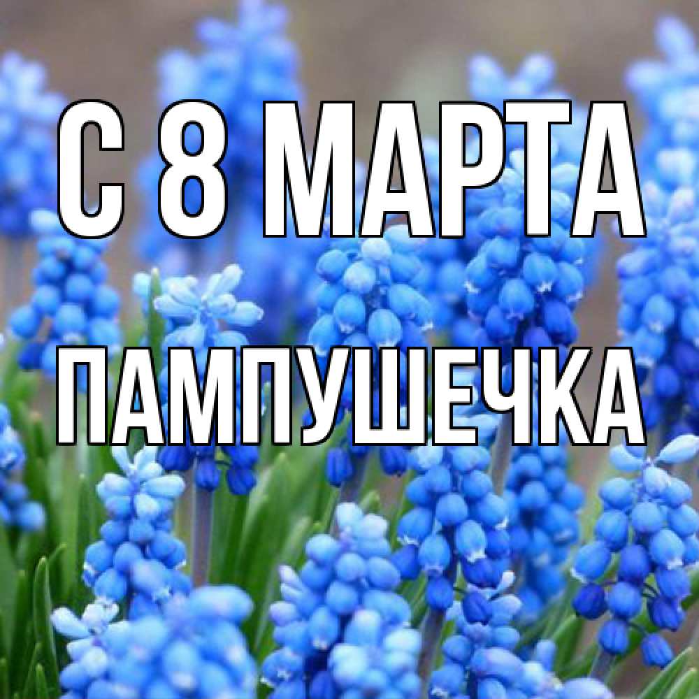 Открытка на каждый день с именем, пампушечка C 8 МАРТА Поздравительная открытка для женщин с цветами на праздничную дату Прикольная открытка с пожеланием онлайн скачать бесплатно 