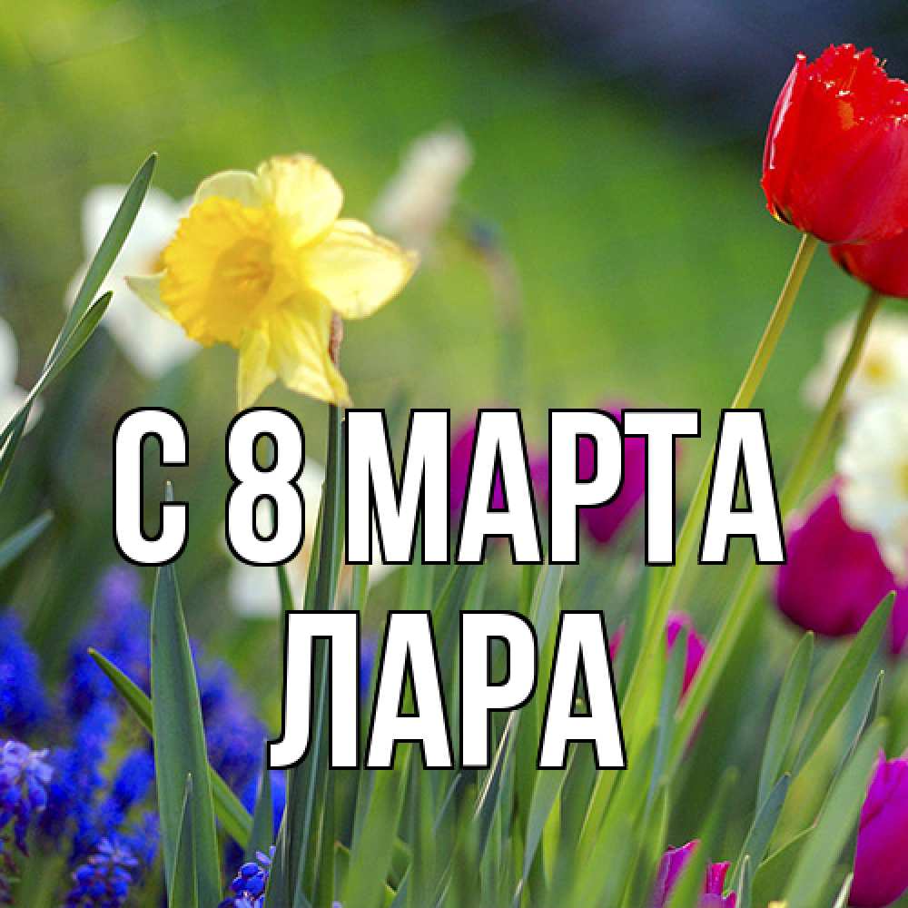 Открытка на каждый день с именем, Лара C 8 МАРТА международный женский день 3 Прикольная открытка с пожеланием онлайн скачать бесплатно 