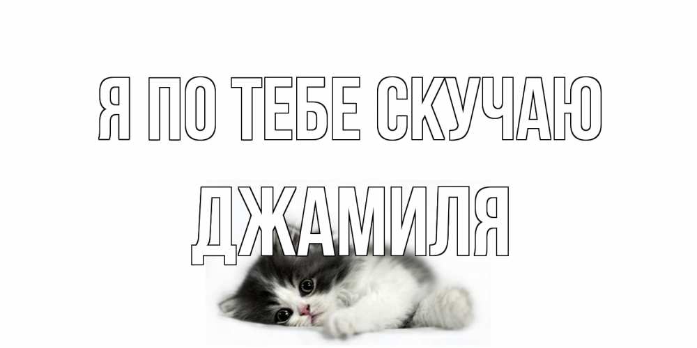 Открытка на каждый день с именем, Джамиля Я по тебе скучаю кот, скука Прикольная открытка с пожеланием онлайн скачать бесплатно 