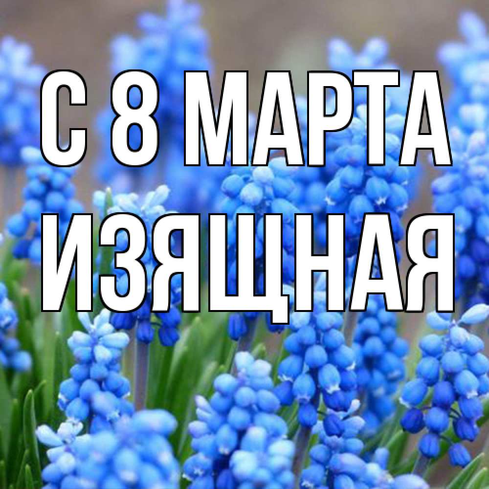 Открытка на каждый день с именем, Изящная C 8 МАРТА Поздравительная открытка для женщин с цветами на праздничную дату Прикольная открытка с пожеланием онлайн скачать бесплатно 