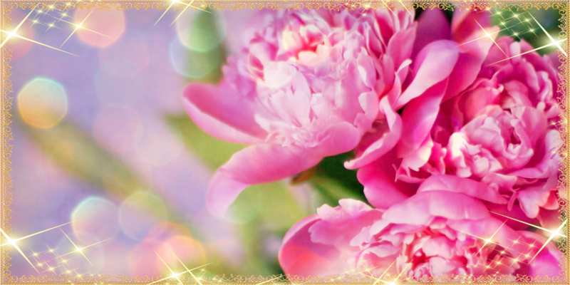 Картинка C 8 МАРТА, Савелий