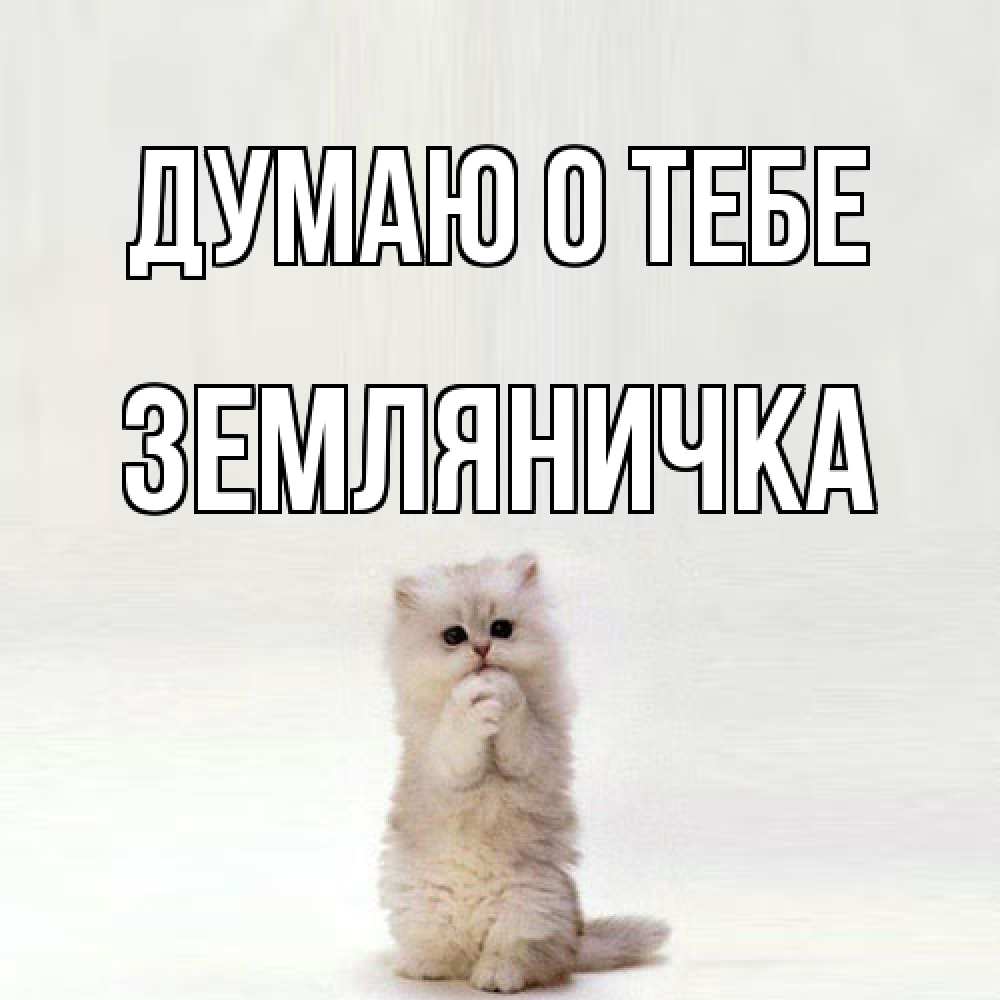 Открытка на каждый день с именем, Земляничка Думаю о тебе кот стоит на задних лапах Прикольная открытка с пожеланием онлайн скачать бесплатно 