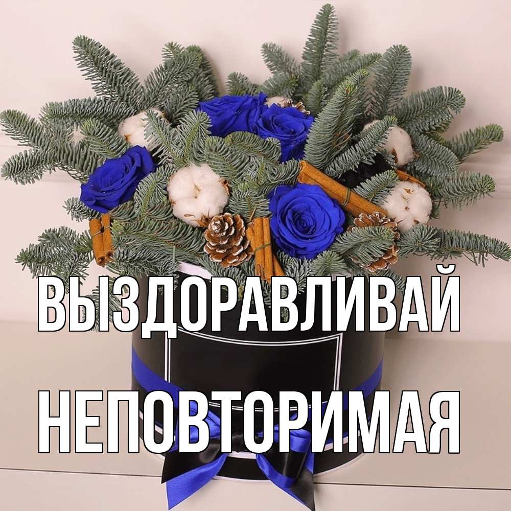 Открытка на каждый день с именем, Неповторимая Выздоравливай короче кто то загрузил эти шишки Прикольная открытка с пожеланием онлайн скачать бесплатно 