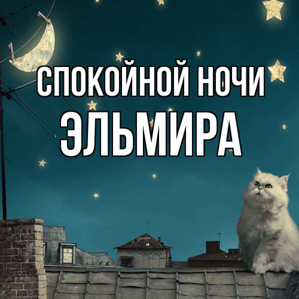 Открытка на каждый день с именем, Эльмира Спокойной ночи белый кот сидит на крыше Прикольная открытка с пожеланием онлайн скачать бесплатно 