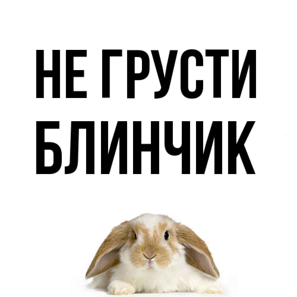 Открытка на каждый день с именем, Блинчик Не грусти коричнево белый заяц с большими ушками Прикольная открытка с пожеланием онлайн скачать бесплатно 
